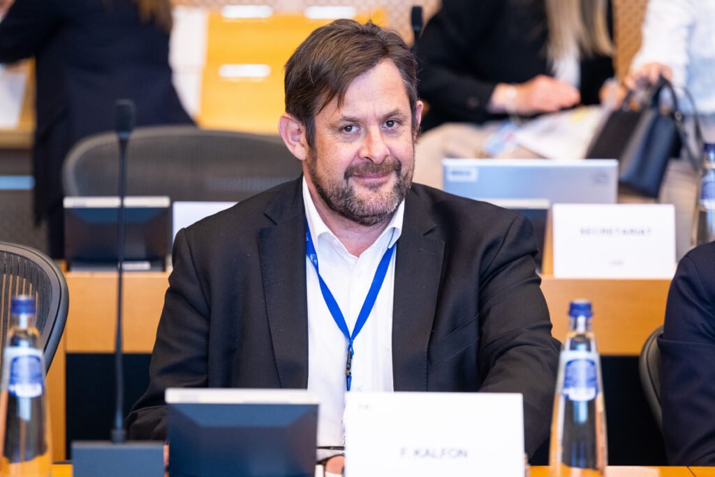 François Kalfon, eurodéputé