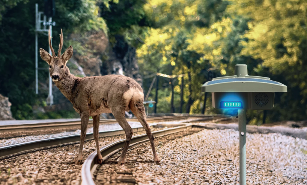 ElanRail vise le marché européen avec sa solution « Blue Sentinel »